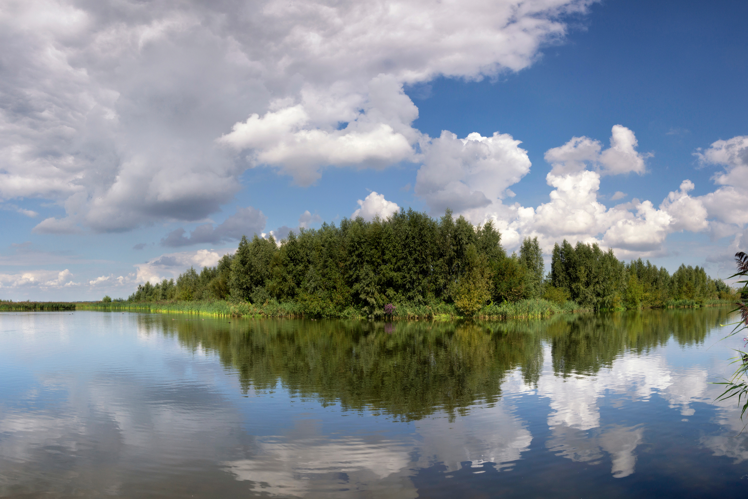 huizen (3).webp